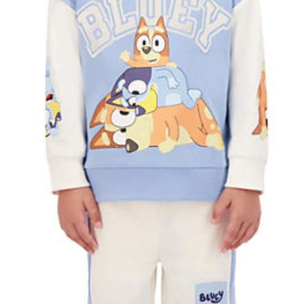Toddler Boys Bluey Sweatshirt & Short Set. Size 4T